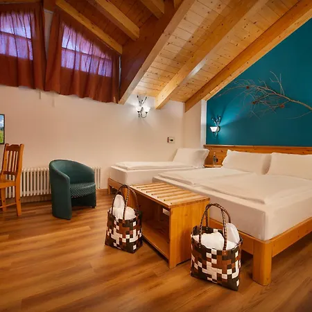 Primula 3*