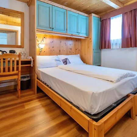 Primula 3*