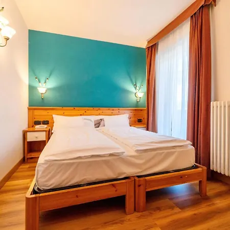 Primula 3*