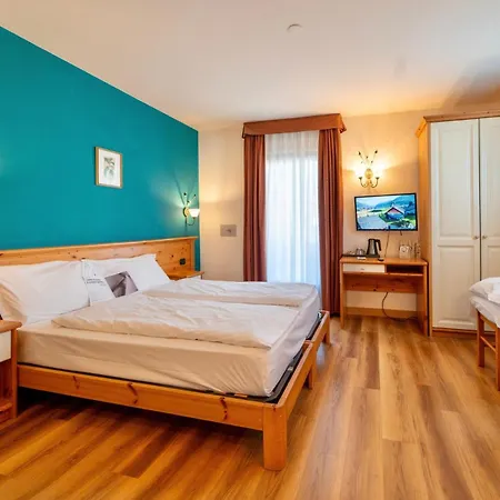 Primula 3*