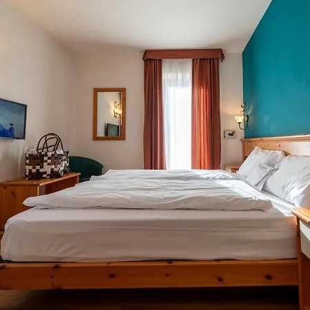 Primula 3*