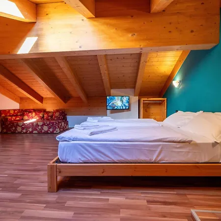 Primula 3*